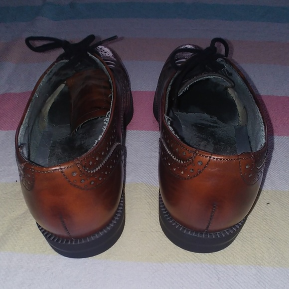 Dexter Cherry Brown Oxford - Picture 5 of 14